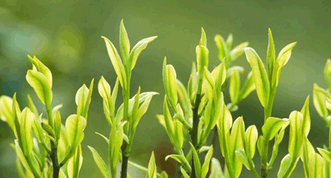 �����ײ�